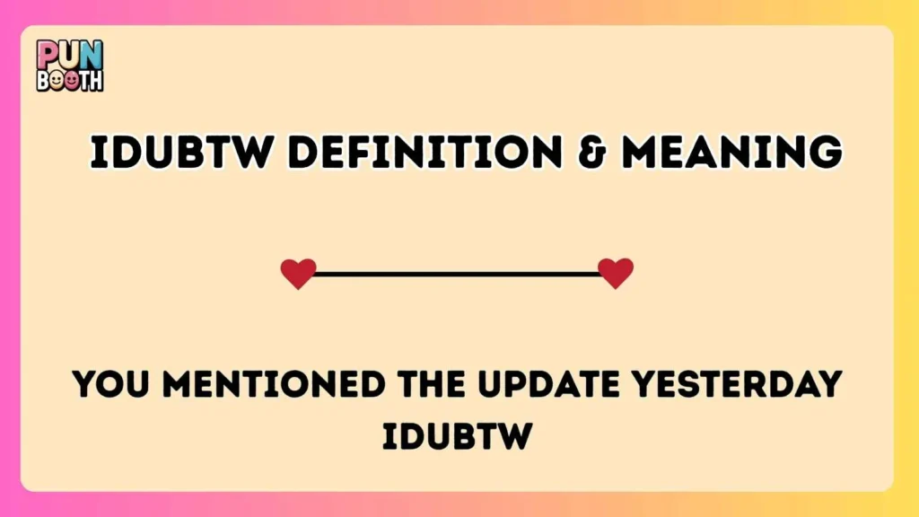 IDUBTW  Definition & Meaning