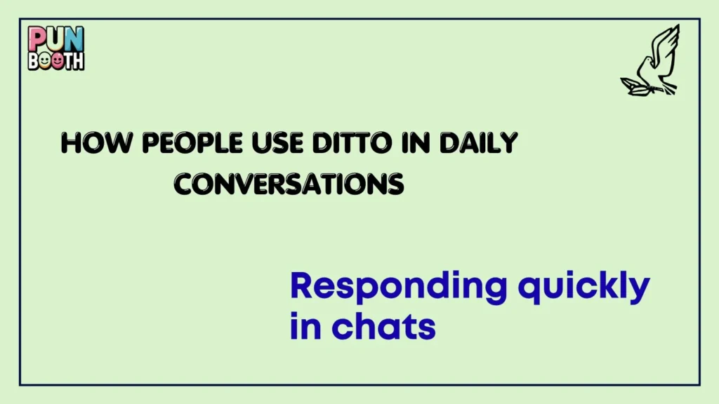 How People Use Ditto in Daily Conversations