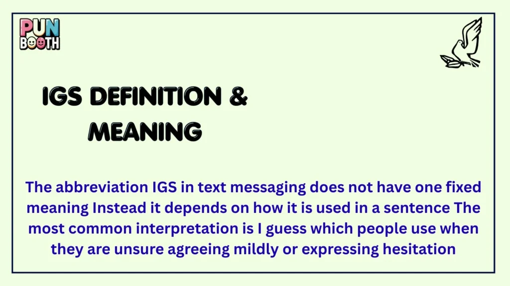 igs Definition & Meaning