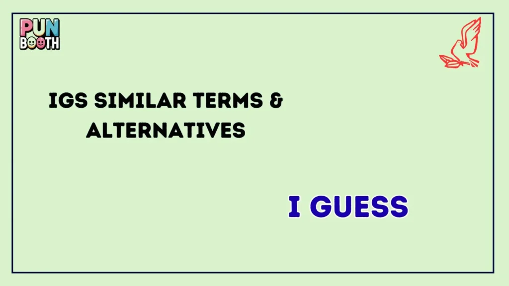 igs Similar Terms & Alternatives