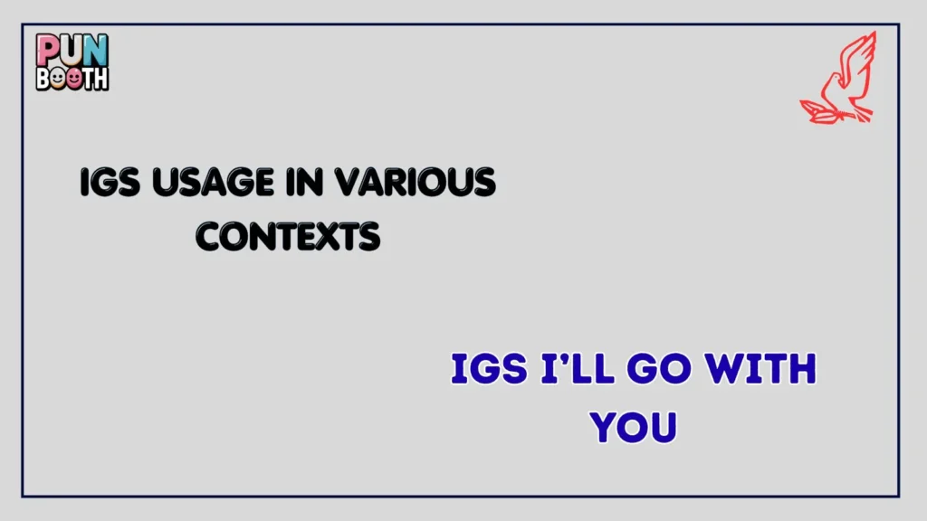 igs Usage in Various Contexts