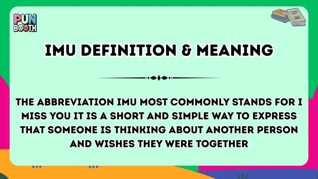 imu Definition & Meaning