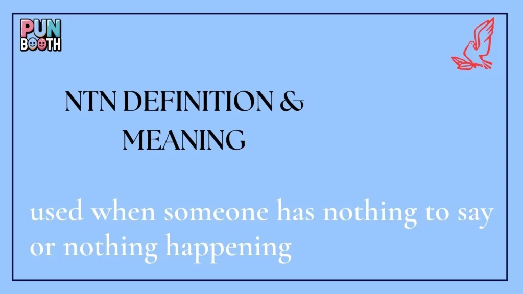 ntn Definition & Meaning