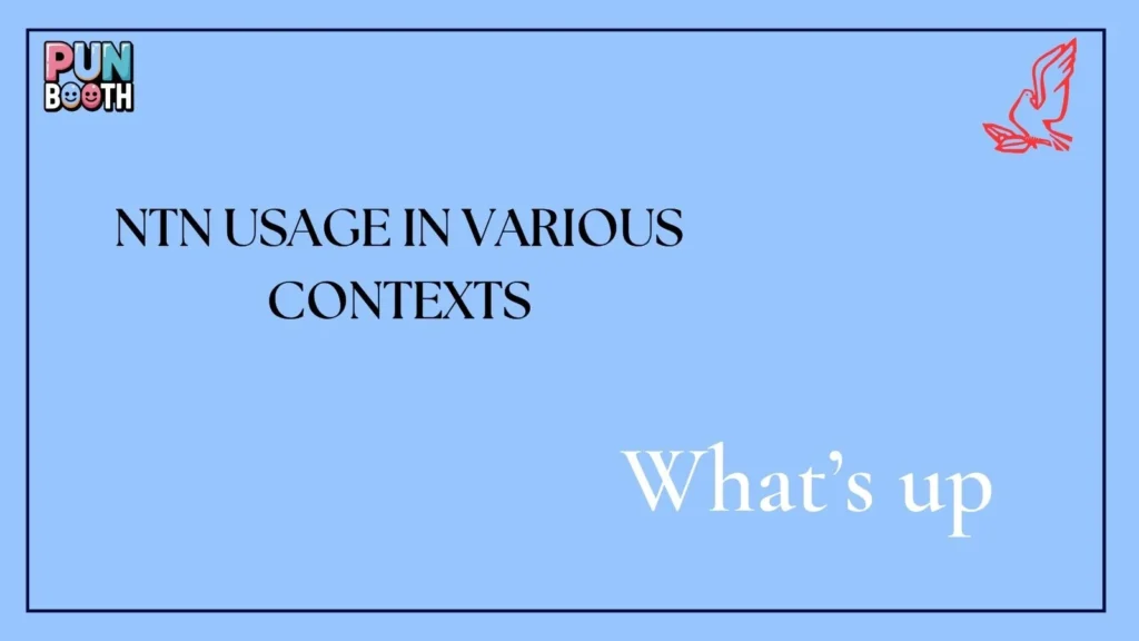 ntn Usage in Various Contexts