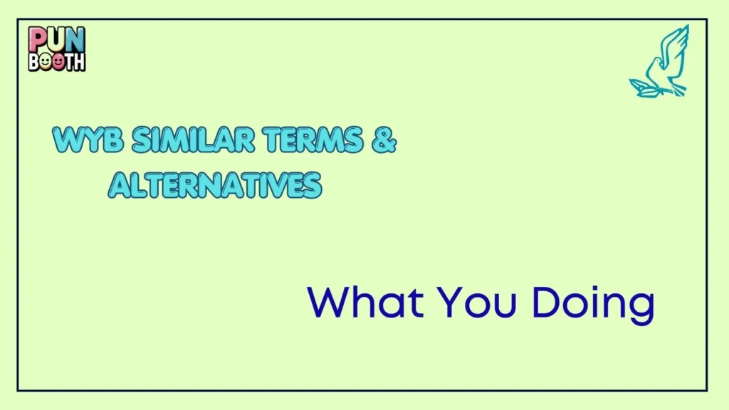 wyb Similar Terms & Alternatives 