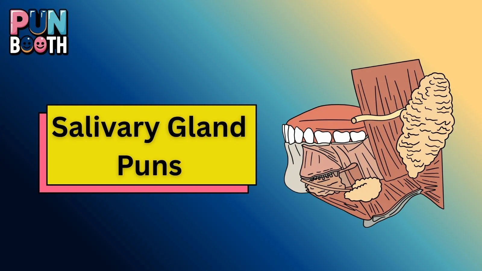 Salivary Gland Puns