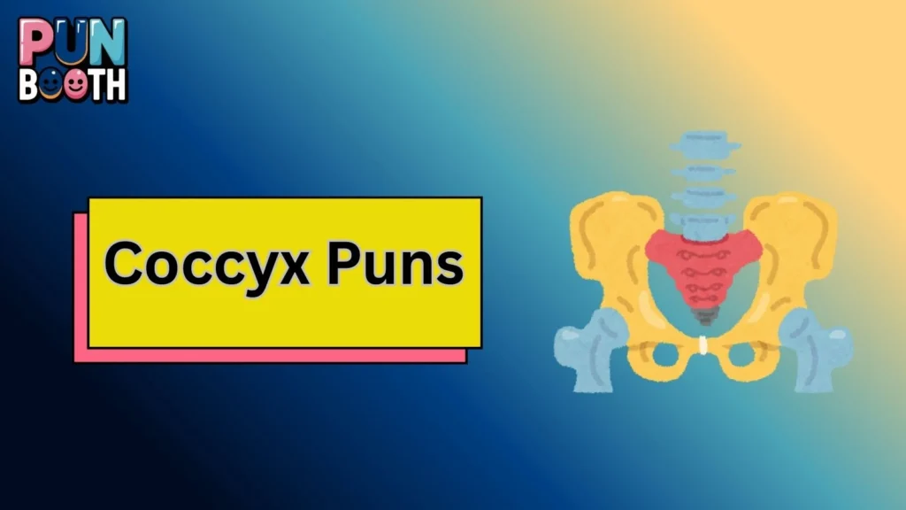 Coccyx Puns