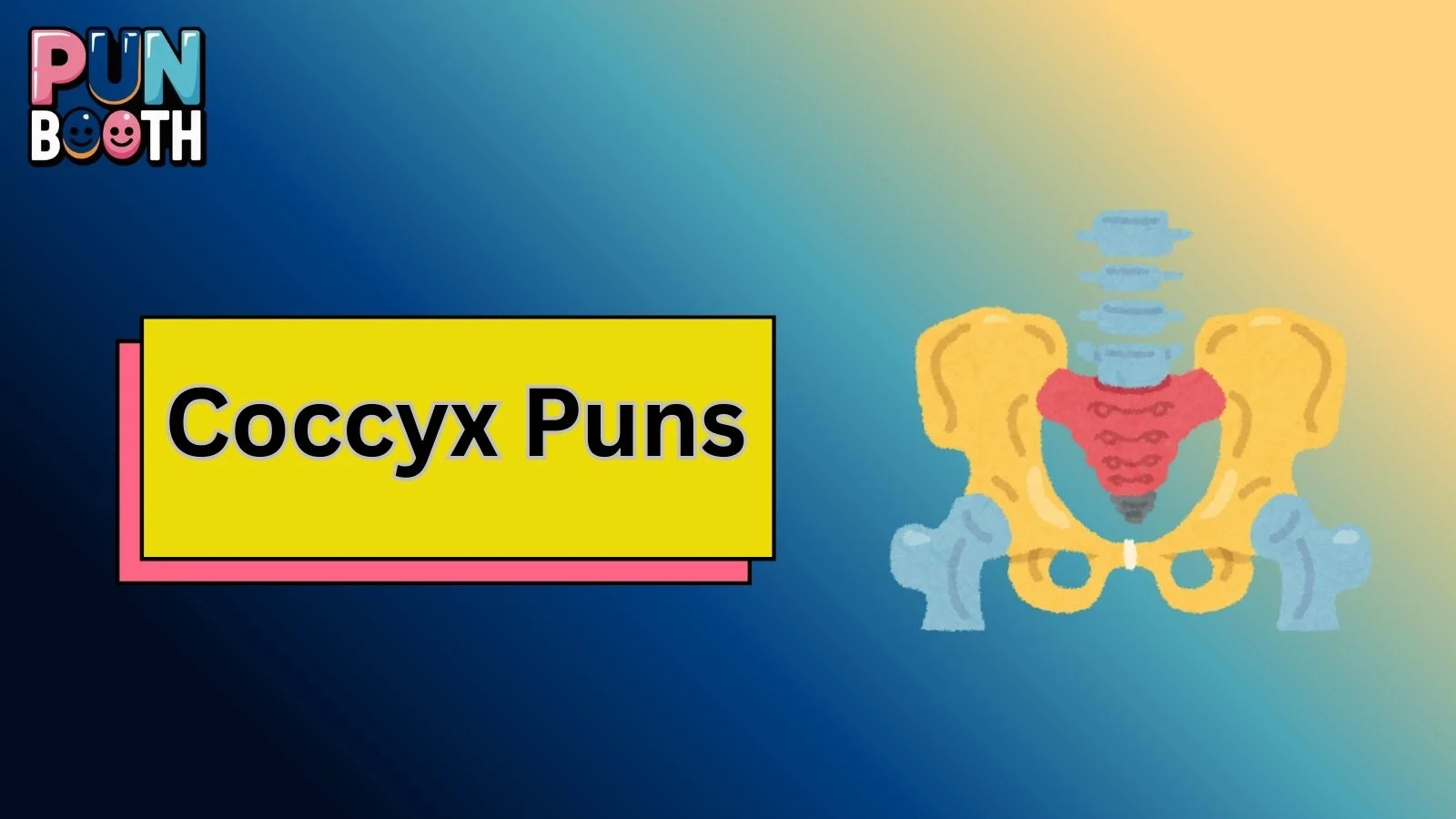 Coccyx Puns