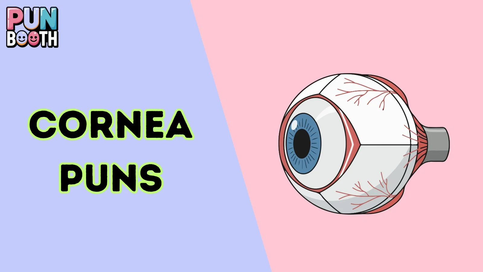 Cornea Puns