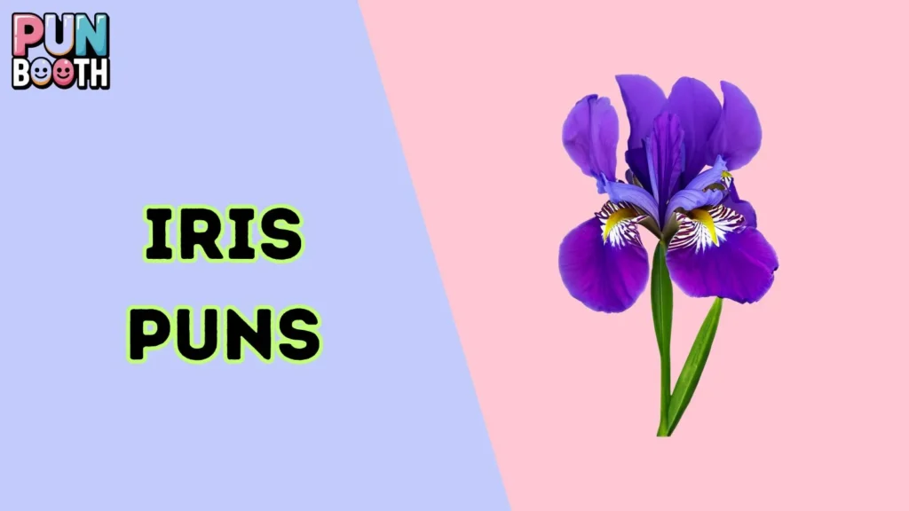 Iris Puns
