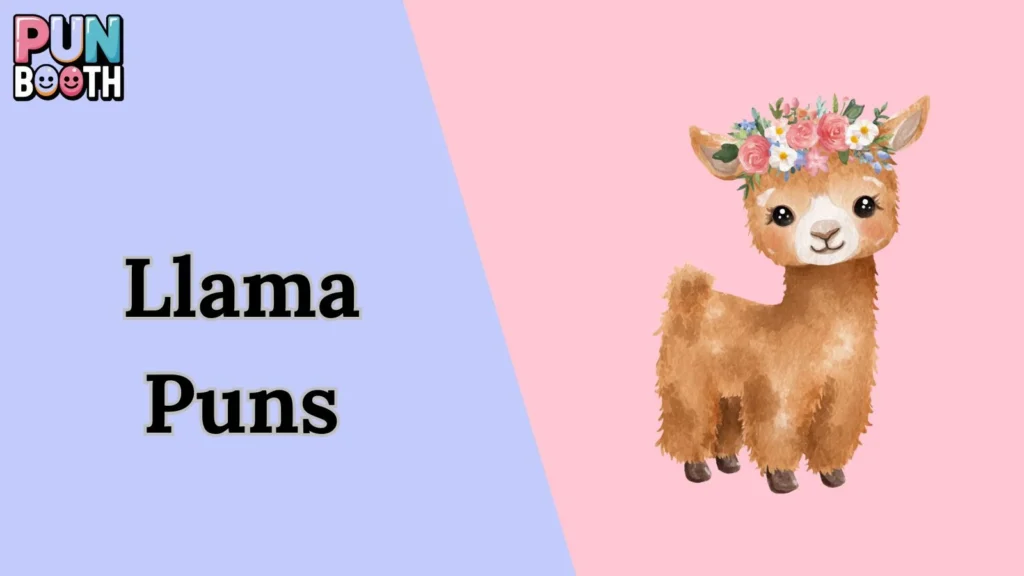 Llama Puns