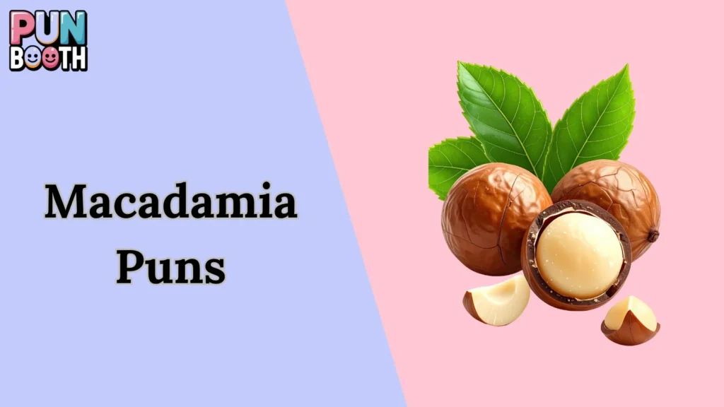 Macadamia Puns
