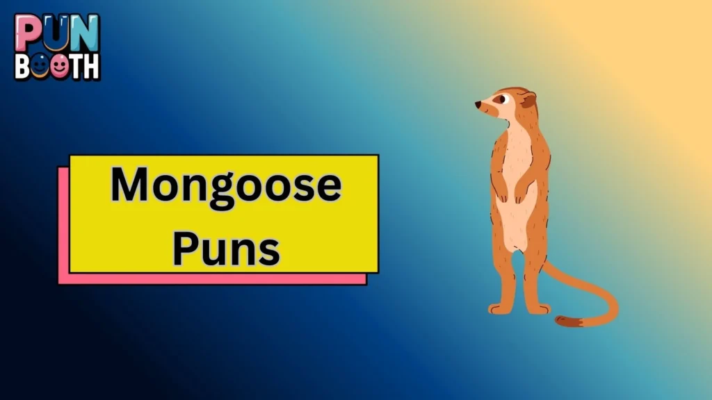 Mongoose Puns