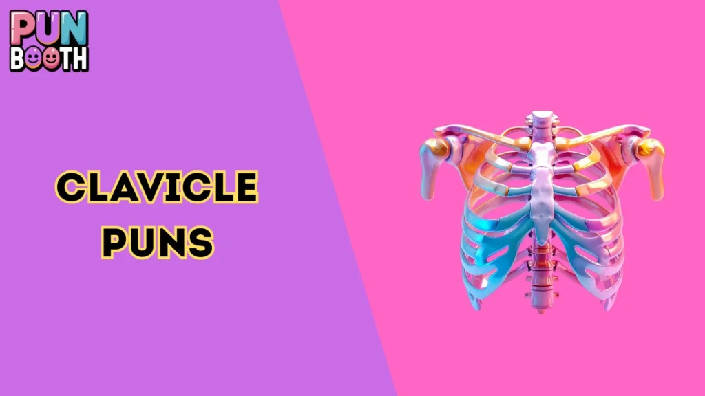 Clavicle Puns