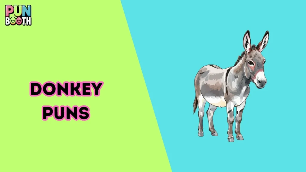 Donkey Puns