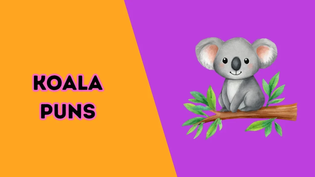 Koala Puns