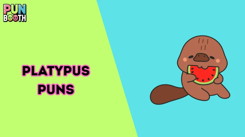 Platypus Puns