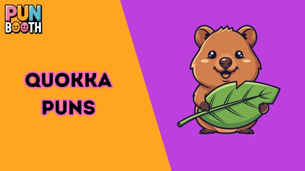 Quokka Puns
