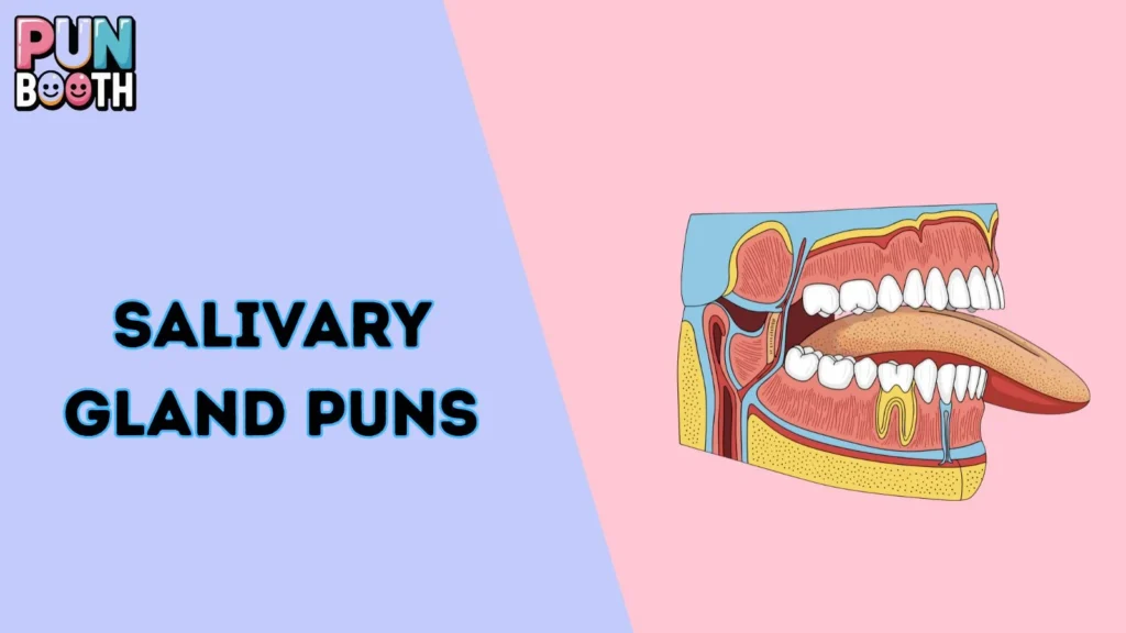 Salivary Gland Puns