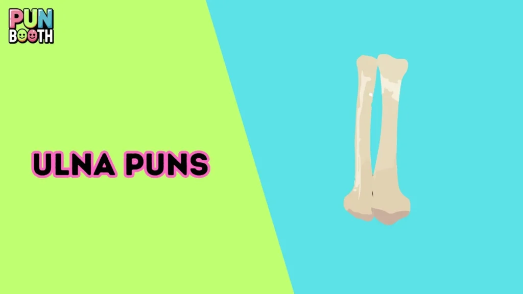 Ulna Puns