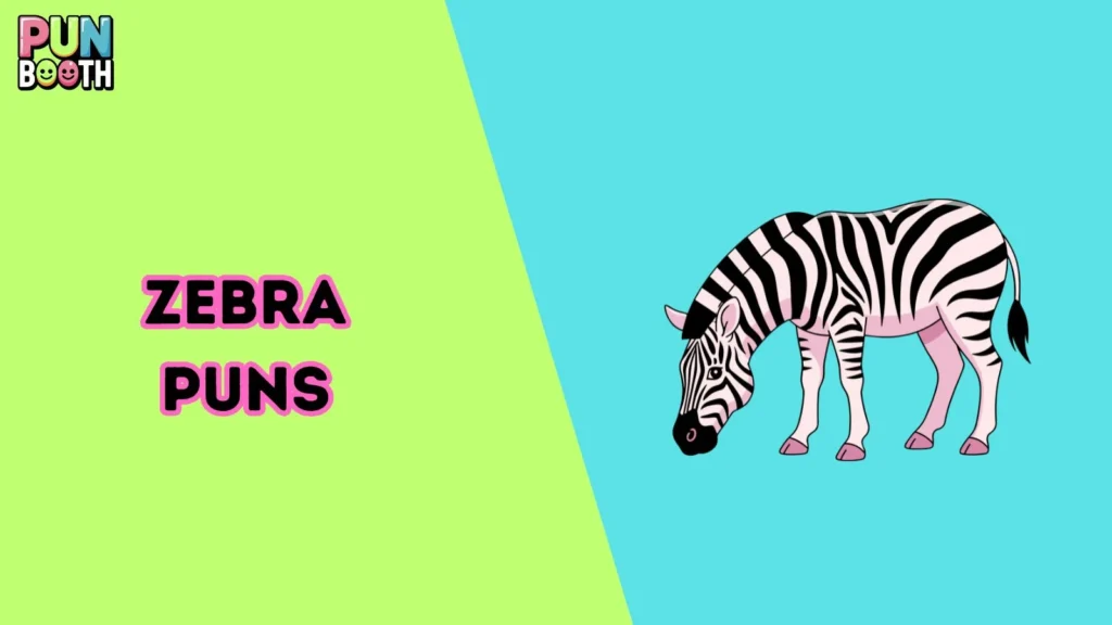 Zebra Puns