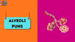 Alveoli Puns