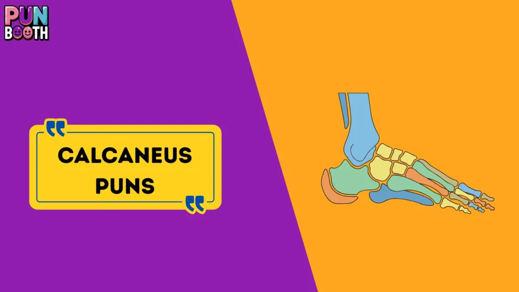 Calcaneus Puns