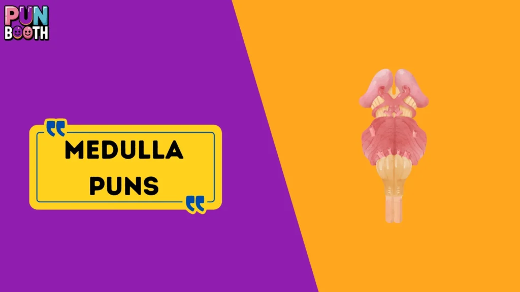 Medulla Puns