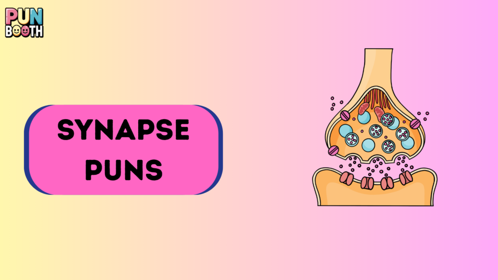 Synapse Puns