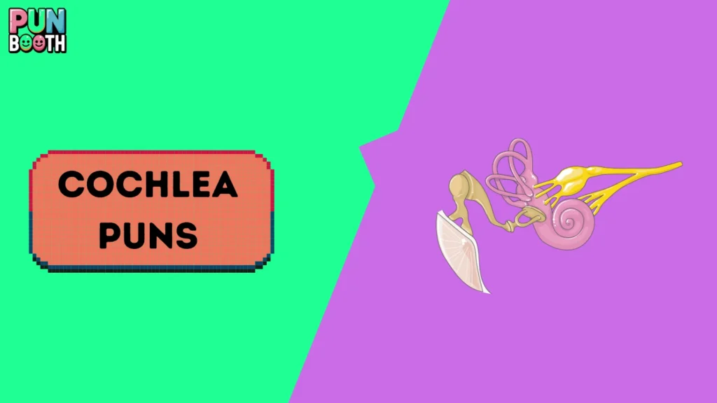 Cochlea Puns
