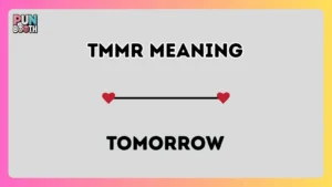 TMMR meaning