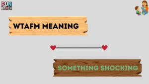 WTAFM meaning