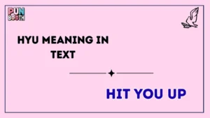 HYU meaning in text