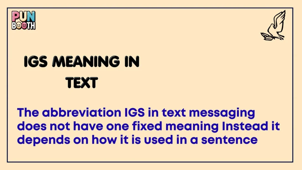 IGS meaning in text