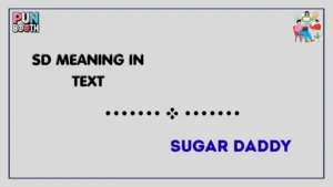 sd meaning in text