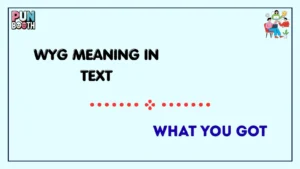 wyg meaning in text